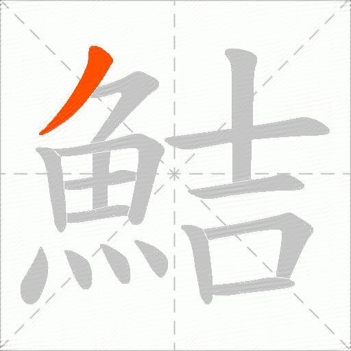 鮚