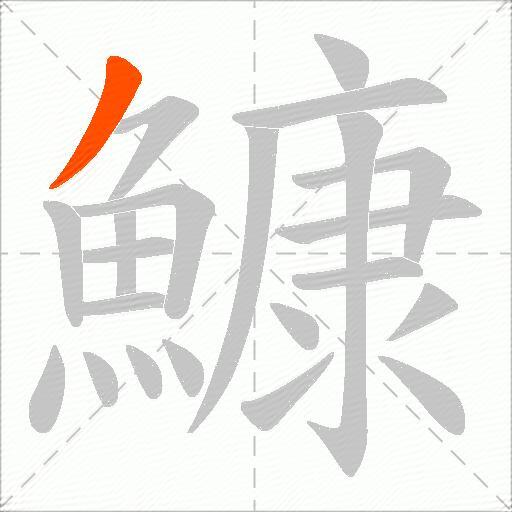 鱇