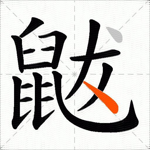 鼥