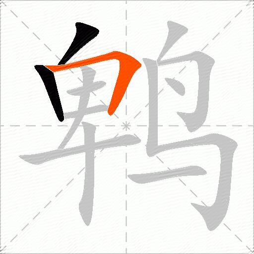 鹎