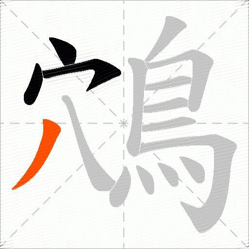 鴪