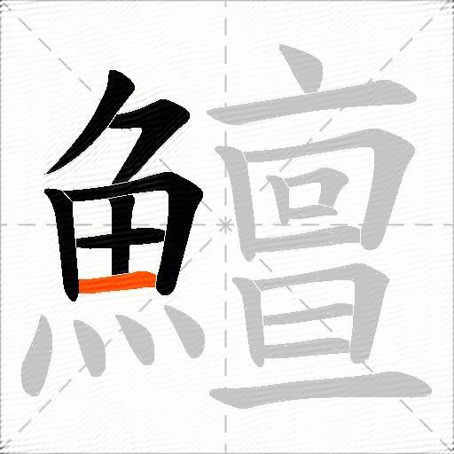 鱣