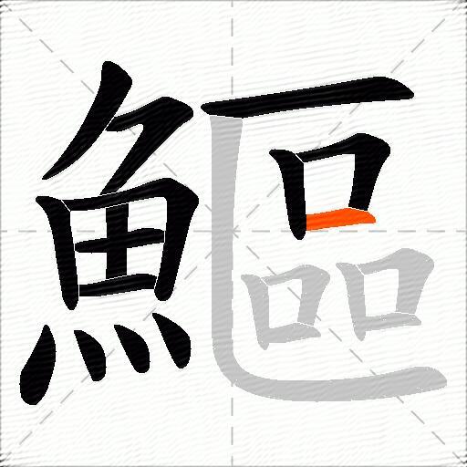 鰸