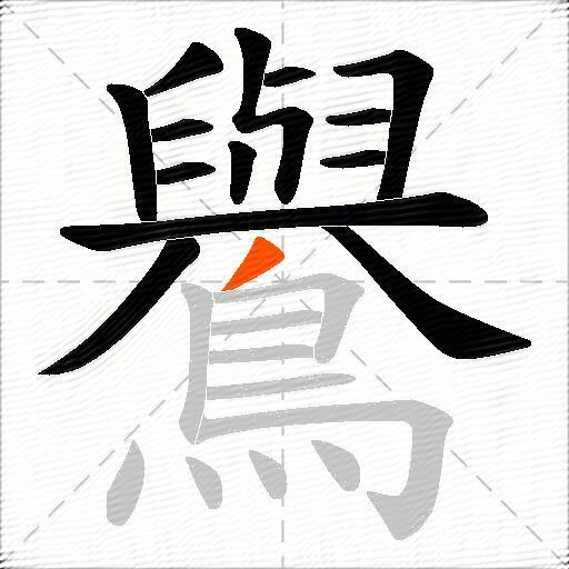 鸒
