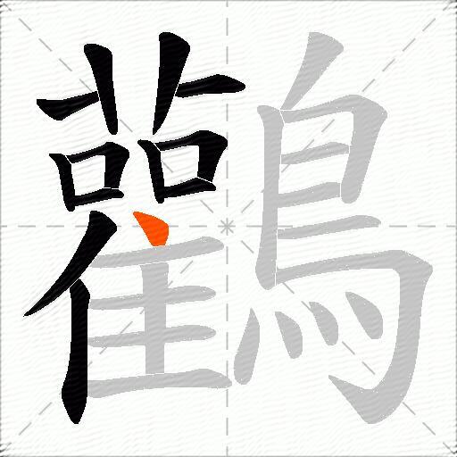 鸛