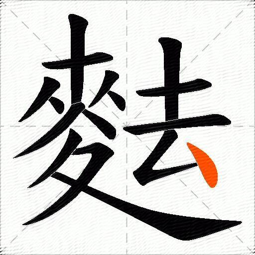 麮