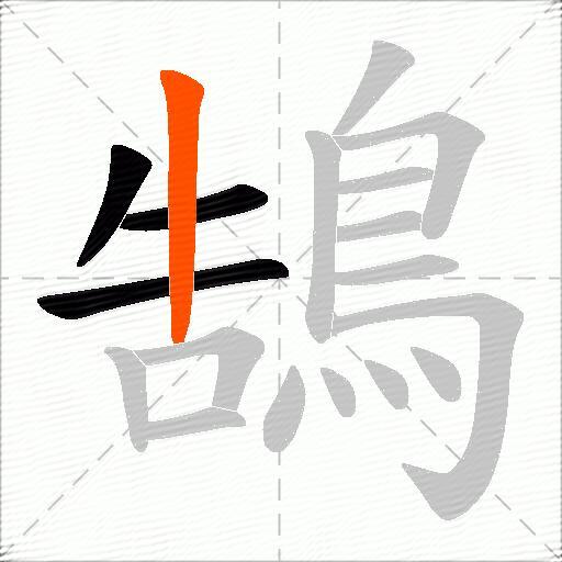 鵠