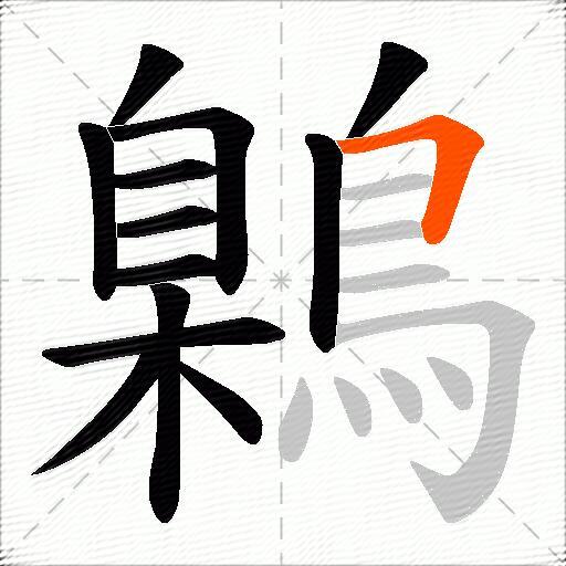 鷍