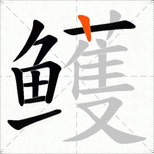 鳠