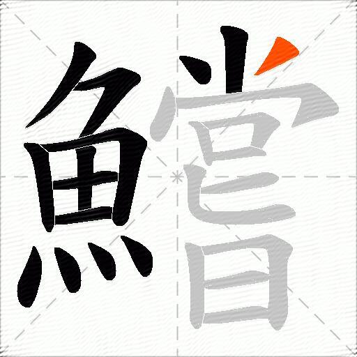 鱨