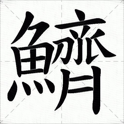 鱭