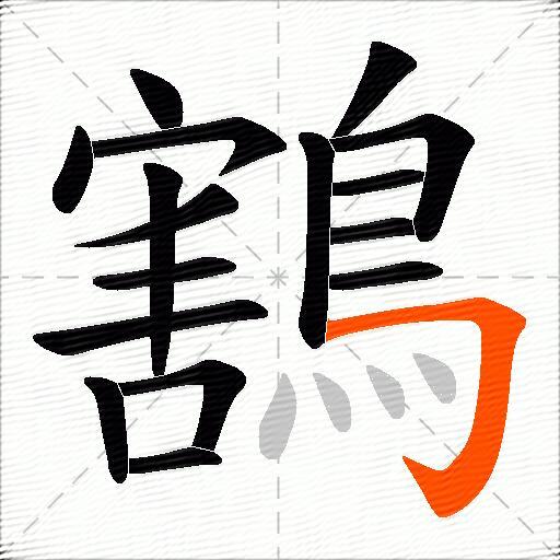 鶷