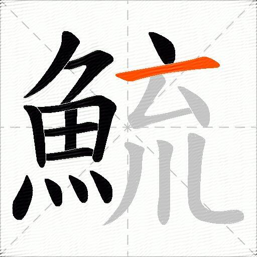 鯍