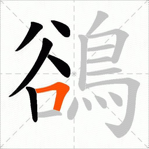鵒