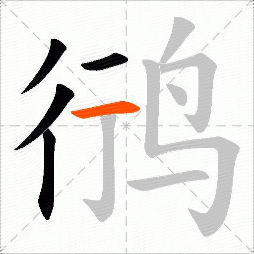 鸻