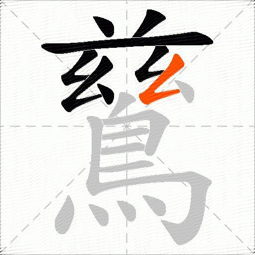 鶿
