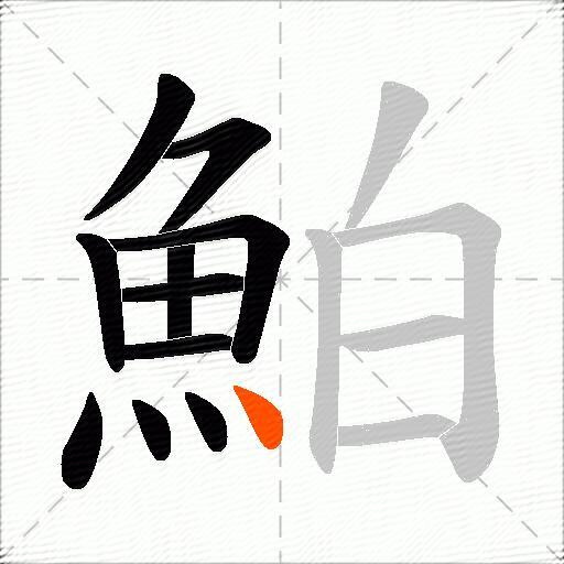 鮊