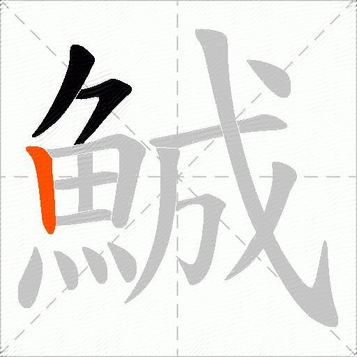 鯎
