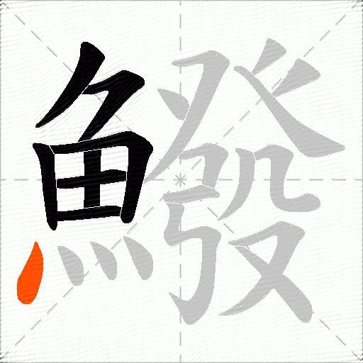 鱍