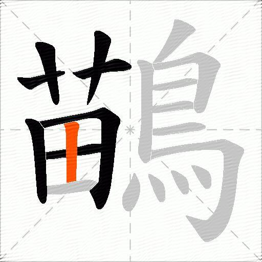 鶓