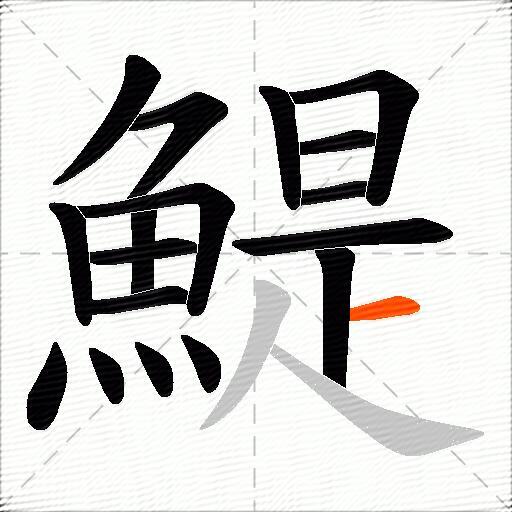 鯷