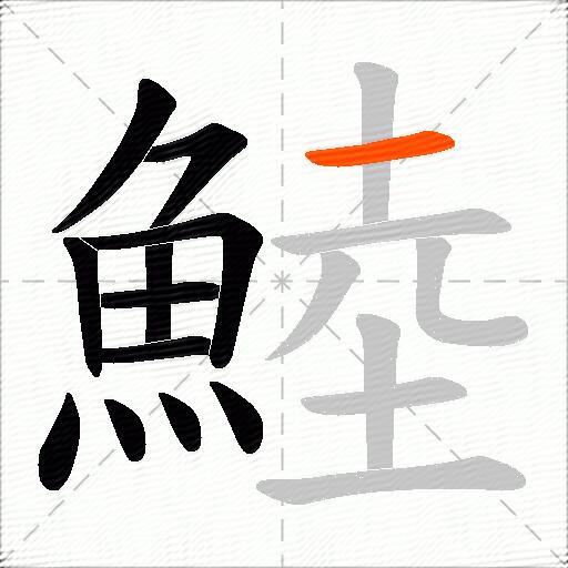 鯥