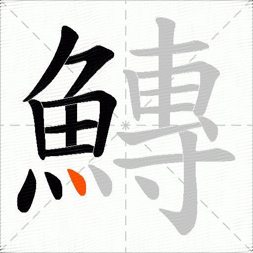 鱄