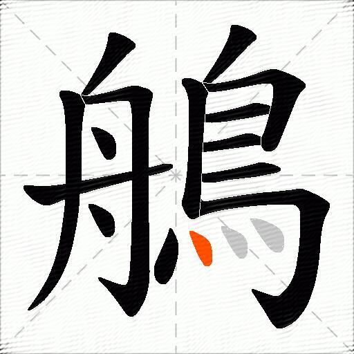 鵃
