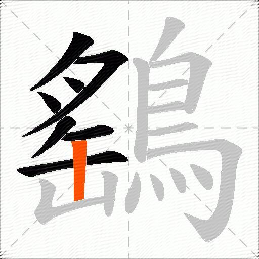 鷂