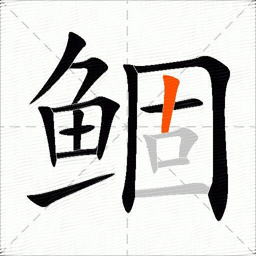 鲴