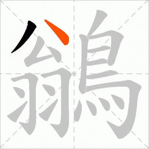 鶲