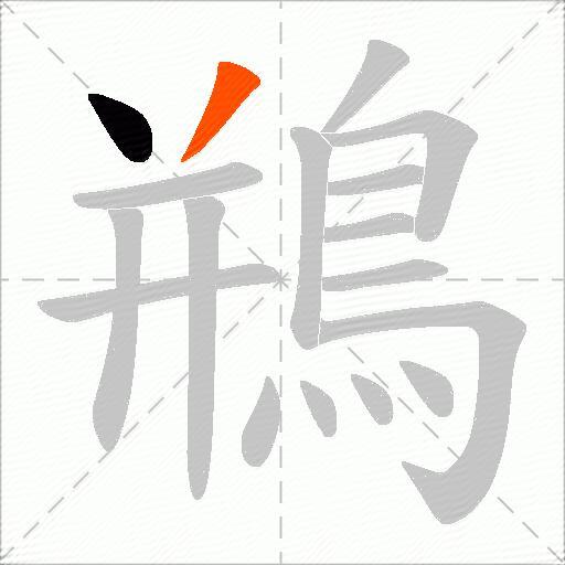 鵧
