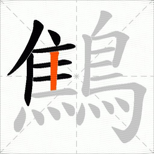 鷦