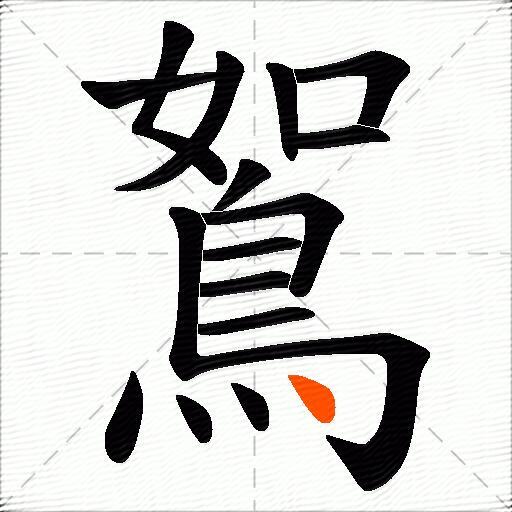 鴽