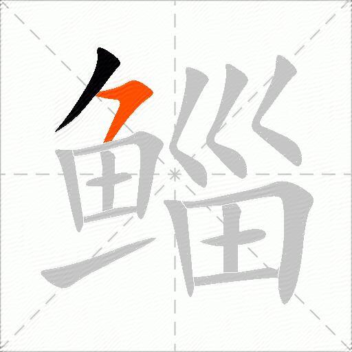鲻