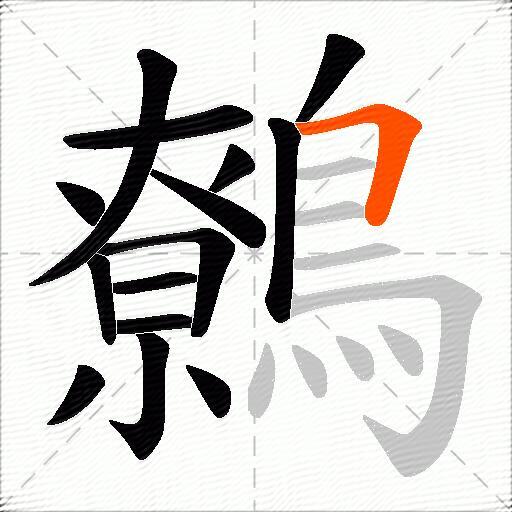 鷯