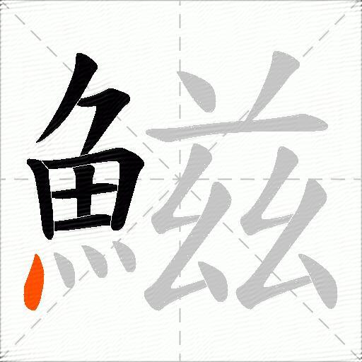 鰦