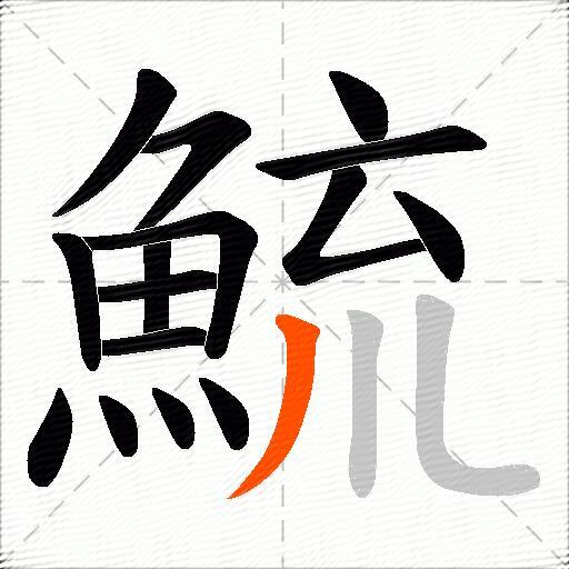 鯍
