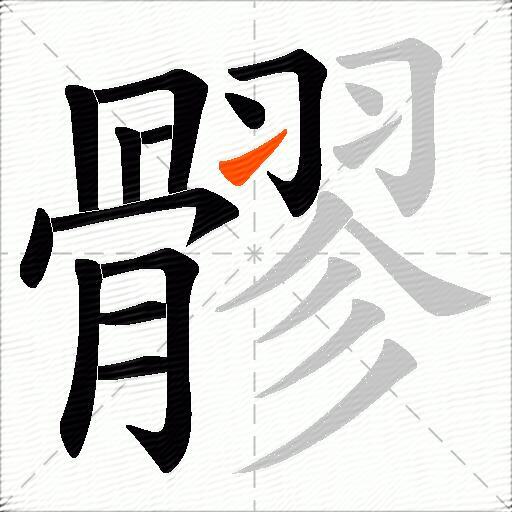 髎