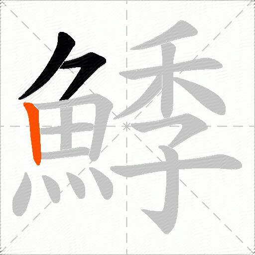 鯚