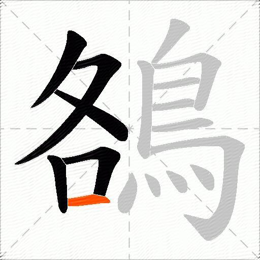 鵅