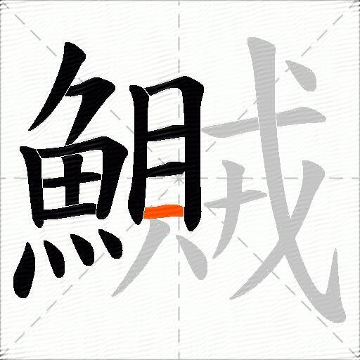 鱡