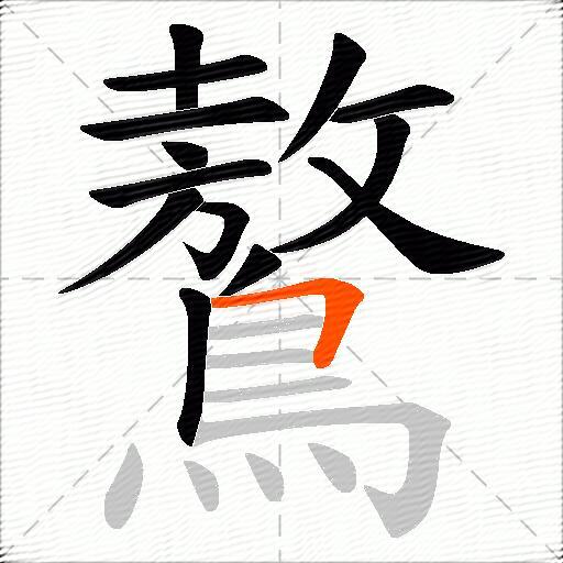 鷔