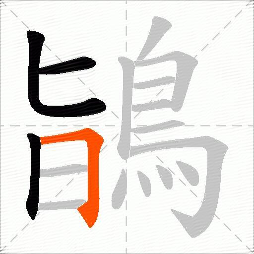 鴲