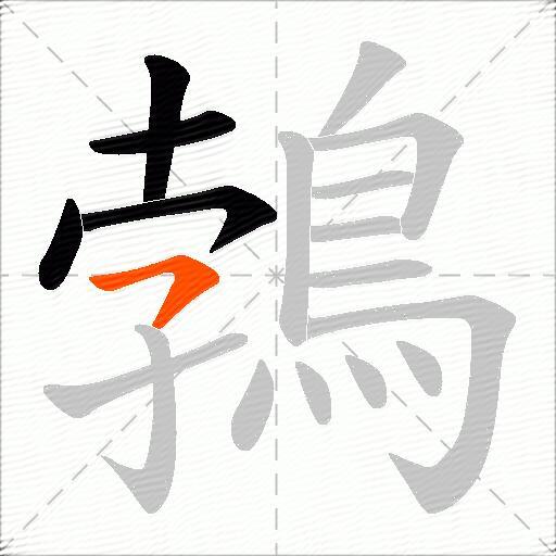 鵓