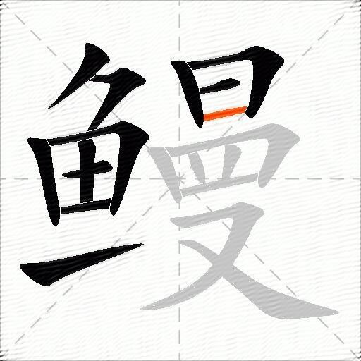 鳗