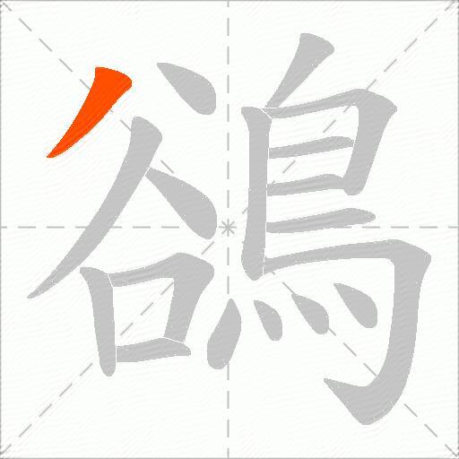 鵒