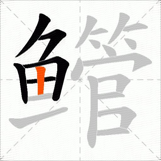 鳤