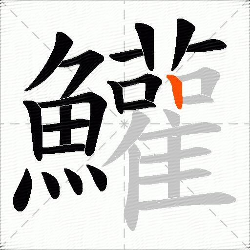 鱹