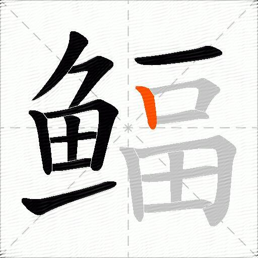 鲾